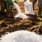 ANS-fertilizer-2