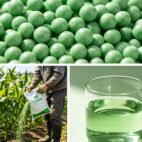 Professional-Water-Soluble-NPK-20-20-20-All-Purpose-Balanced-Fertilizer2